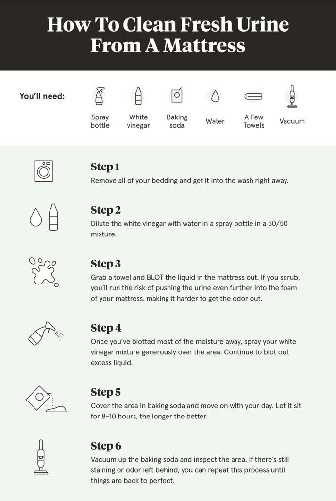 Guide to Cleaning Urine from Mattress