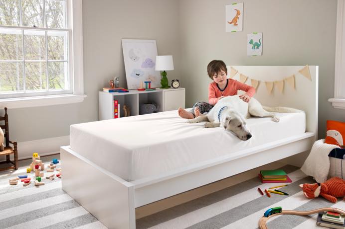 Child's bedroom with dog and toys
