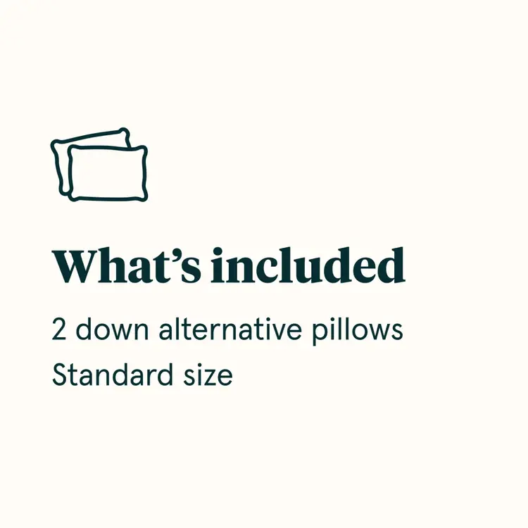 Down Alternative Pillow Set