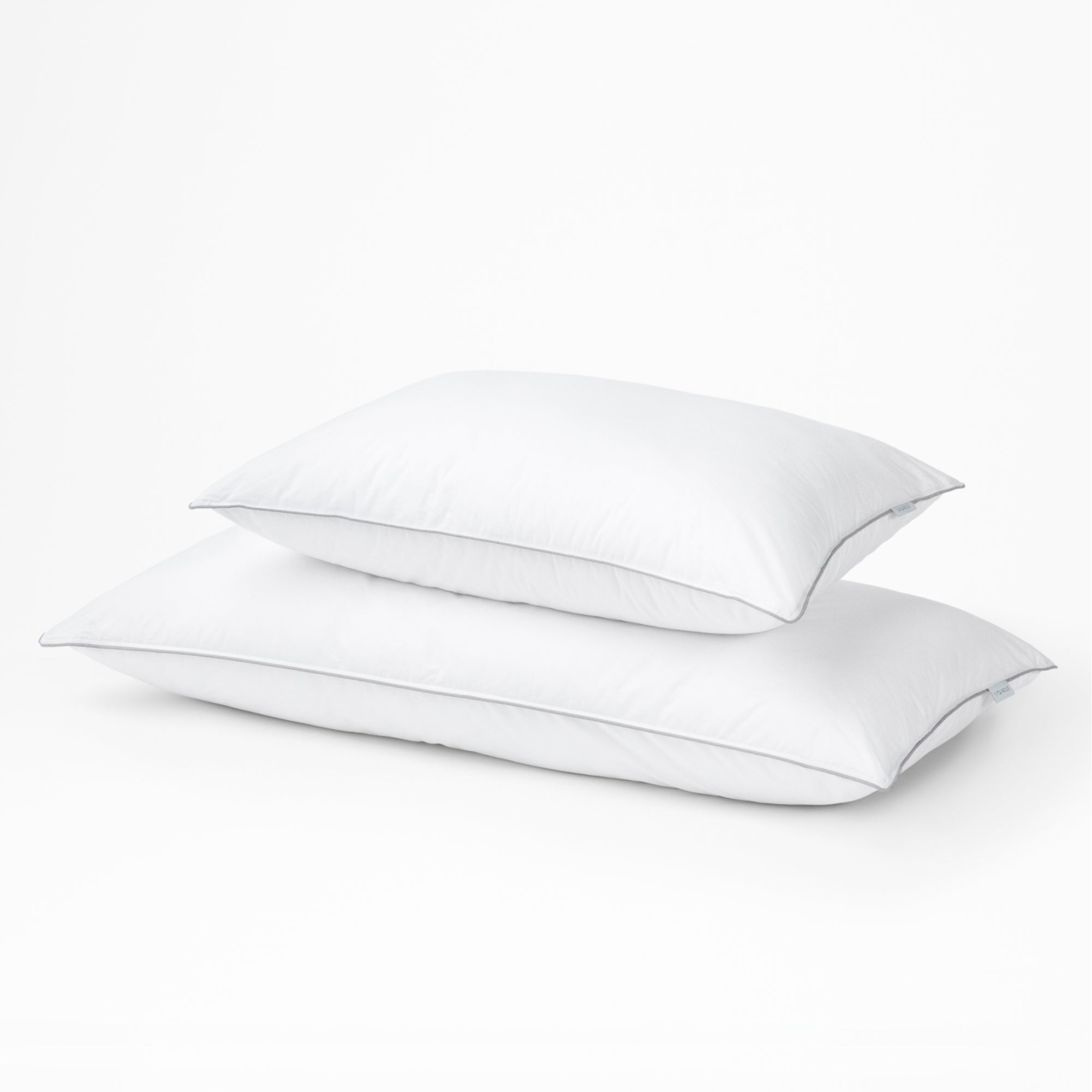 Basics Bundle
