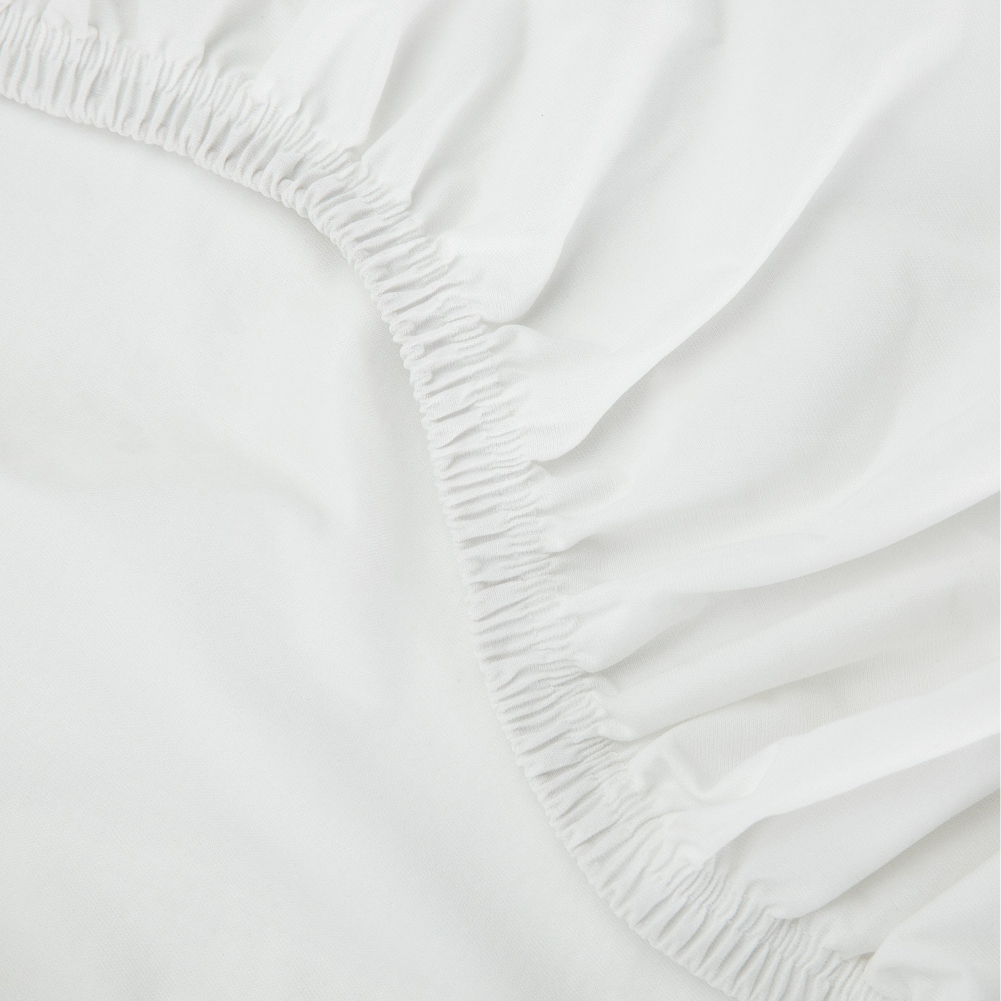 Basics Bundle