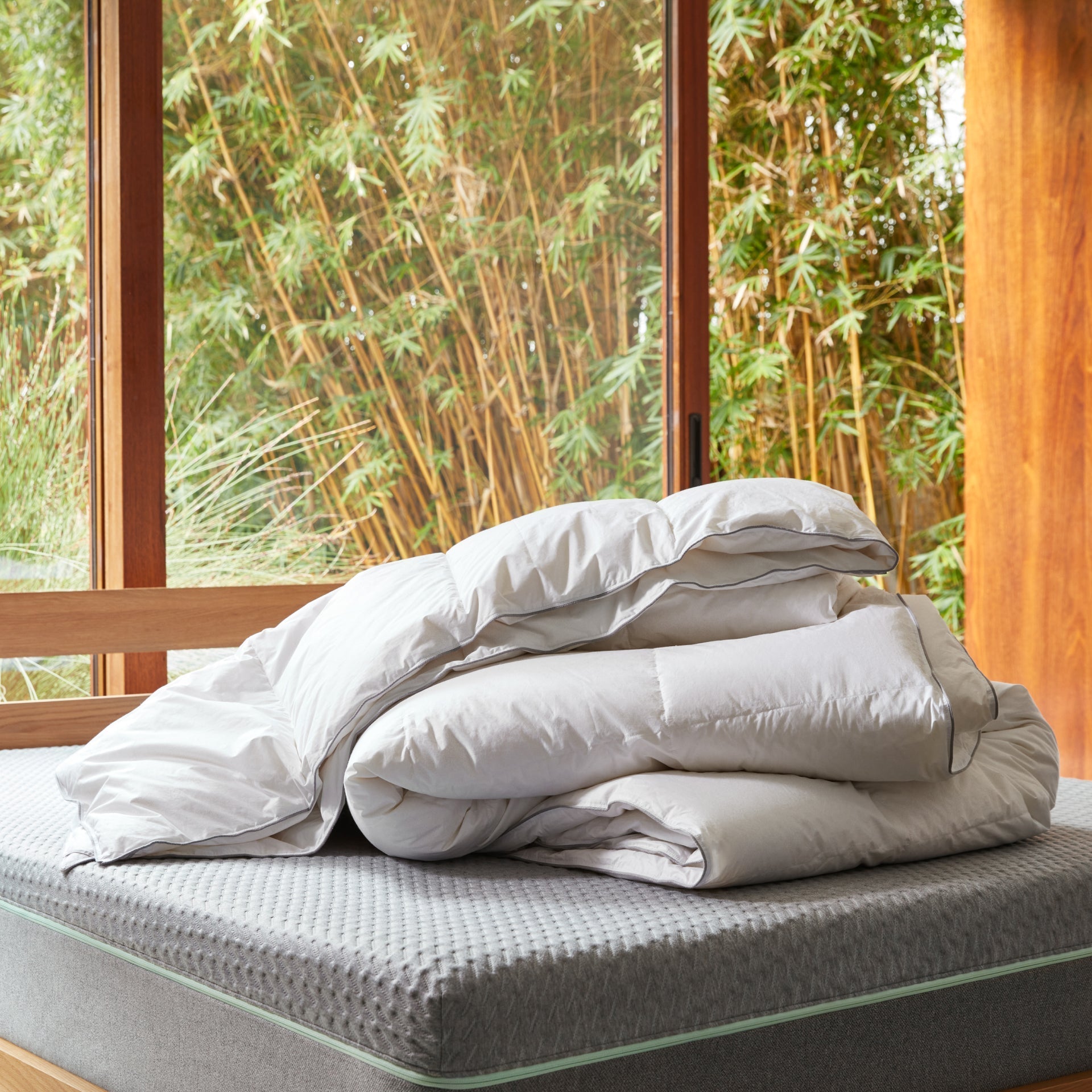 Down Duvet Insert